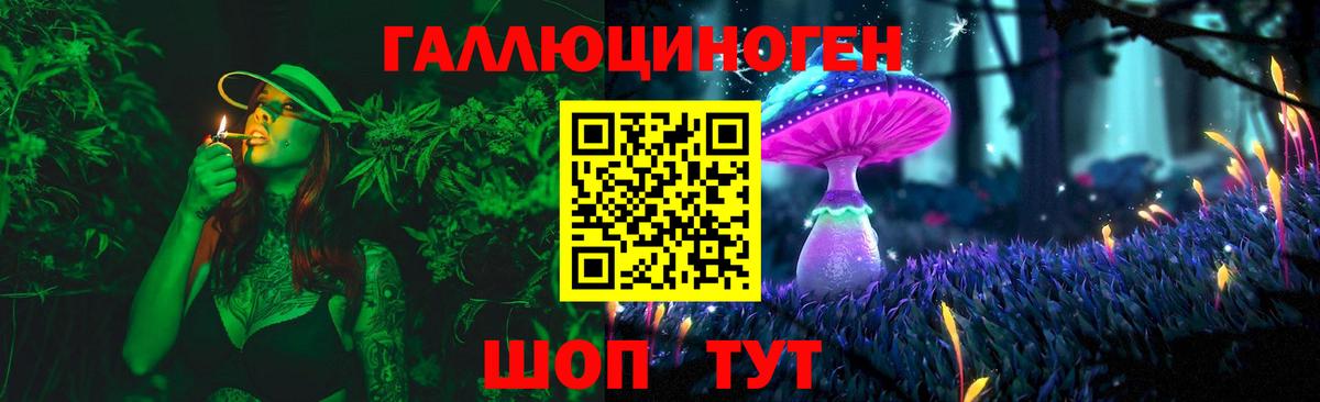 Галлюциногенные грибы мицелий  Галлюциногенные грибы ЛСД  Новокузнецк  Вход с VPN 